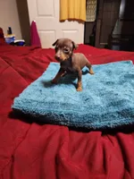 processed/ff3cff98-1143-4267-8226-10975172ba24/listing/ec4a407e-16d9-4a84-8c21-109910c048dd/308e0018-3bdd-4555-8d7a-ed3f0e40c51f