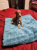 processed/ff3cff98-1143-4267-8226-10975172ba24/listing/ec4a407e-16d9-4a84-8c21-109910c048dd/67a2e611-eff8-4981-878a-ffdcb9f3387e