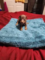 processed/ff3cff98-1143-4267-8226-10975172ba24/listing/ec4a407e-16d9-4a84-8c21-109910c048dd/86aa63fa-68de-414e-ad8f-f87bcecf0eba