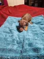 processed/ff3cff98-1143-4267-8226-10975172ba24/listing/ec4a407e-16d9-4a84-8c21-109910c048dd/99dee509-df39-441c-aa48-2c1294ec59ae