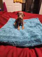 processed/ff3cff98-1143-4267-8226-10975172ba24/listing/ec4a407e-16d9-4a84-8c21-109910c048dd/9c5727a3-7b85-4a2a-ab2a-ab3a2315aec4