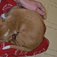 processed/ff3fa397-300e-4892-9a86-af9c64fcb041/listing/1446b3ab-68fb-4085-8c0e-672384e49baf/52c7a719-29d6-4cc7-b191-a0f25bf57119