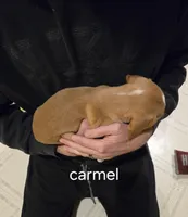 processed/ff3fa397-300e-4892-9a86-af9c64fcb041/listing/1446b3ab-68fb-4085-8c0e-672384e49baf/75b1c448-407a-427c-acf0-01b7a2351d1a