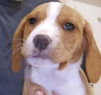 processed/ff3fa397-300e-4892-9a86-af9c64fcb041/listing/1446b3ab-68fb-4085-8c0e-672384e49baf/d890d5a0-e51c-4b93-97e2-7625e56c8667