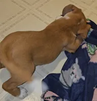 processed/ff3fa397-300e-4892-9a86-af9c64fcb041/listing/1446b3ab-68fb-4085-8c0e-672384e49baf/fb7987e7-eafd-41b8-b194-2072eaac476c