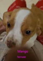 processed/ff3fa397-300e-4892-9a86-af9c64fcb041/listing/94e3a2b7-465a-4014-a5a7-7330eed53e65/555a4708-f432-42bd-95b9-2a2a3de8f5ab