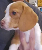 processed/ff3fa397-300e-4892-9a86-af9c64fcb041/listing/94e3a2b7-465a-4014-a5a7-7330eed53e65/dc94afca-386a-430e-8eec-f396b97cf49a