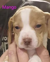 processed/ff3fa397-300e-4892-9a86-af9c64fcb041/listing/94e3a2b7-465a-4014-a5a7-7330eed53e65/e24e8be2-acb8-41cc-86ae-9686fa85acab