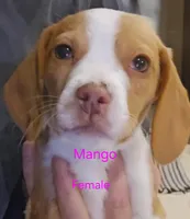 processed/ff3fa397-300e-4892-9a86-af9c64fcb041/listing/94e3a2b7-465a-4014-a5a7-7330eed53e65/fe8d5fae-df5a-4059-8925-c9b0386c66e0