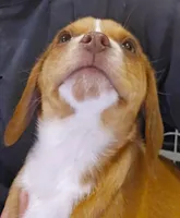 processed/ff3fa397-300e-4892-9a86-af9c64fcb041/listing/9553ba43-f6f7-4970-9b91-55bd18a0a295/48b51406-28bb-4fb5-9c38-ca81bc60199e