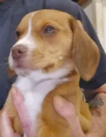 processed/ff3fa397-300e-4892-9a86-af9c64fcb041/listing/9553ba43-f6f7-4970-9b91-55bd18a0a295/c9fce9f5-ed6c-40c2-9064-69daa8231c72