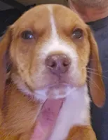 processed/ff3fa397-300e-4892-9a86-af9c64fcb041/listing/9553ba43-f6f7-4970-9b91-55bd18a0a295/d428ee71-cc99-4dda-a9e5-aaa1532acff9