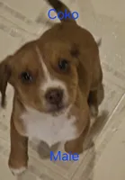 processed/ff3fa397-300e-4892-9a86-af9c64fcb041/listing/9553ba43-f6f7-4970-9b91-55bd18a0a295/f0eb70f8-fe36-40f3-8c15-8d22fd838f90