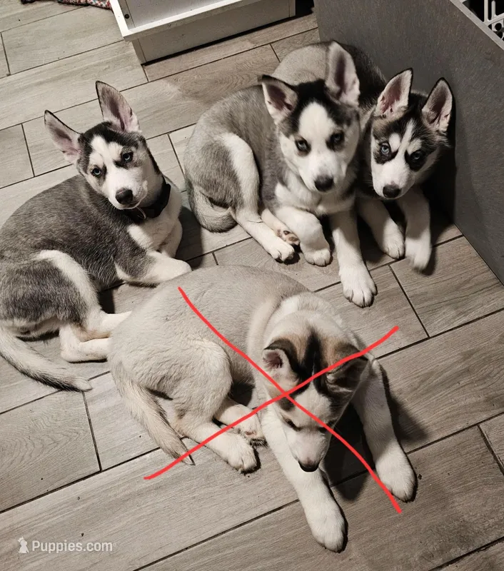 No names just nick names