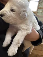 processed/ff4c7d5a-f62c-4ea9-b2e9-84d6b9449992/facility/9717af42-6168-468b-9fd9-1a4b558bb092