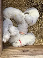 processed/ff4c7d5a-f62c-4ea9-b2e9-84d6b9449992/facility/c9cd310d-ac6c-451a-8000-d161a6100f30