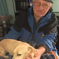 AKC Snowflake , a female Miniature Dachshund for sale in Wilson, NC – Photo 3 of 9