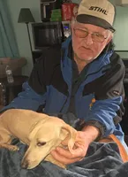 AKC Snowflake , a female Miniature Dachshund for sale in Wilson, NC – Photo 3 of 9