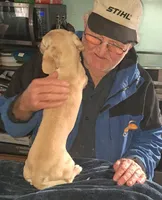 AKC Snowflake , a female Miniature Dachshund for sale in Wilson, NC – Photo 2 of 9