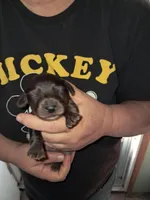 processed/ff593b75-e122-4afc-ab36-13c029608208/listing/37b2595a-ae0b-4165-b320-a96d09cd911b/2ff33c50-f687-403c-80ea-d60016b4709d