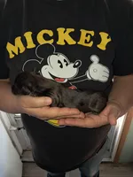 processed/ff593b75-e122-4afc-ab36-13c029608208/listing/37b2595a-ae0b-4165-b320-a96d09cd911b/742a94c0-8bfd-481c-b846-5aaa43757c97