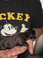 processed/ff593b75-e122-4afc-ab36-13c029608208/listing/37b2595a-ae0b-4165-b320-a96d09cd911b/b0e1aaab-3a79-4bf2-a884-83984ce11963