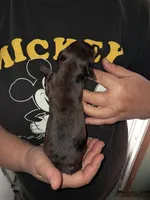 processed/ff593b75-e122-4afc-ab36-13c029608208/listing/37b2595a-ae0b-4165-b320-a96d09cd911b/c3552c77-a890-404c-960d-b9b3d1ce5684