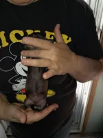 processed/ff593b75-e122-4afc-ab36-13c029608208/listing/37b2595a-ae0b-4165-b320-a96d09cd911b/ecbc5ebe-2031-412c-a2db-90bdef0ac074