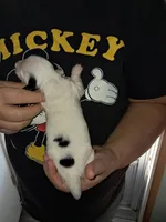 processed/ff593b75-e122-4afc-ab36-13c029608208/listing/e2d40aa8-8590-4e0b-a8a1-32a283fa8cfa/60291724-7c5f-4c4b-b491-c6fea8ac9929