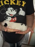 processed/ff593b75-e122-4afc-ab36-13c029608208/listing/e2d40aa8-8590-4e0b-a8a1-32a283fa8cfa/a6444ac0-d51c-46ec-8812-9b5eea59f7c3