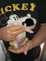 processed/ff593b75-e122-4afc-ab36-13c029608208/listing/e2d40aa8-8590-4e0b-a8a1-32a283fa8cfa/e541b84c-cf5e-445c-b6eb-c7159e877b47