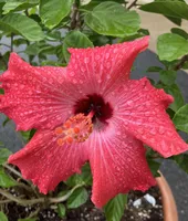 processed/ff5f1ef8-da7c-4c7f-a8f3-8387523a2154/facility/3236eff2-a015-47dd-8058-4dce89ae2738