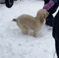 processed/ff5f1ef8-da7c-4c7f-a8f3-8387523a2154/facility/35c8ca99-3bd7-484d-b506-84e2660e0b49