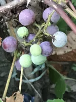 processed/ff5f1ef8-da7c-4c7f-a8f3-8387523a2154/facility/3c67baa2-16aa-4479-a4fd-f27803c08fdd