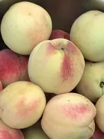 processed/ff5f1ef8-da7c-4c7f-a8f3-8387523a2154/facility/d6168b5e-f063-4b7c-99be-8449b2818ca1