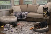 processed/ff6abb6e-6117-43f1-bd68-265a5ffa5032/facility/13583a28-d251-412b-9bc0-0bd17d66bb7c