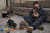 Princess, a female Yorkshire Terrier for sale in Atlanta, GA – Photo 8 of 8