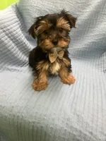 processed/ff6d419e-4600-4a00-a5d9-fa9bc40d5ad6/listing/1bddde77-cedf-4433-8dcf-a1c816c0a82c/0edd82ba-47e5-4b94-a173-dbd4a16978de