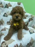 processed/ff6d419e-4600-4a00-a5d9-fa9bc40d5ad6/listing/6f2472ea-af9c-4a9c-9796-6522adbf16cd/fc58c128-4ba3-40e5-9e65-8268af33a6c9