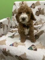 processed/ff6d419e-4600-4a00-a5d9-fa9bc40d5ad6/listing/c915310b-56b1-4940-9de0-86bde336bd8c/30b8da81-9fad-46aa-a812-8d8d8be02a8b