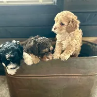 processed/ff740577-d1eb-44a7-9113-94561aa5da06/facility/5c6db789-04fe-4a5c-923a-cf3e9b18fea5