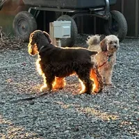 processed/ff740577-d1eb-44a7-9113-94561aa5da06/facility/8011525c-4aa0-4d4c-8245-ad8b8952313a