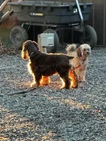 processed/ff740577-d1eb-44a7-9113-94561aa5da06/facility/8011525c-4aa0-4d4c-8245-ad8b8952313a