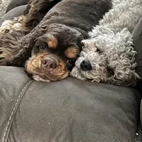 processed/ff740577-d1eb-44a7-9113-94561aa5da06/facility/b5f59c3a-5b71-484a-b774-18253b6edb20