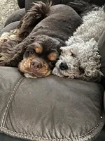 processed/ff740577-d1eb-44a7-9113-94561aa5da06/facility/b5f59c3a-5b71-484a-b774-18253b6edb20