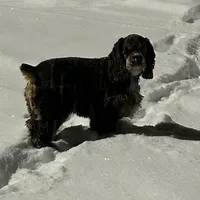 processed/ff740577-d1eb-44a7-9113-94561aa5da06/facility/e1376c30-613a-49a1-8009-e10eeb23de3a