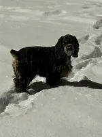 processed/ff740577-d1eb-44a7-9113-94561aa5da06/facility/e1376c30-613a-49a1-8009-e10eeb23de3a