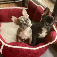 processed/ff79cf77-9e46-4d54-965b-314178d39902/facility/07913fc6-2576-42e7-b7d9-6b4c8f16a9ed