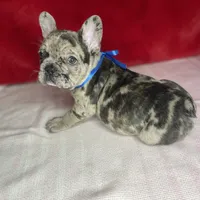 processed/ff79cf77-9e46-4d54-965b-314178d39902/facility/0aca0bd2-1672-4724-9740-06c827263a81