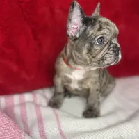 processed/ff79cf77-9e46-4d54-965b-314178d39902/facility/344d4cae-038b-4ab5-a0c6-d7e9e7ef767d